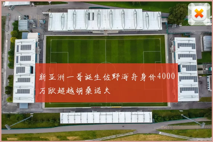 新亚洲一哥诞生佐野海舟身价4000万欧超越胡桑诺夫