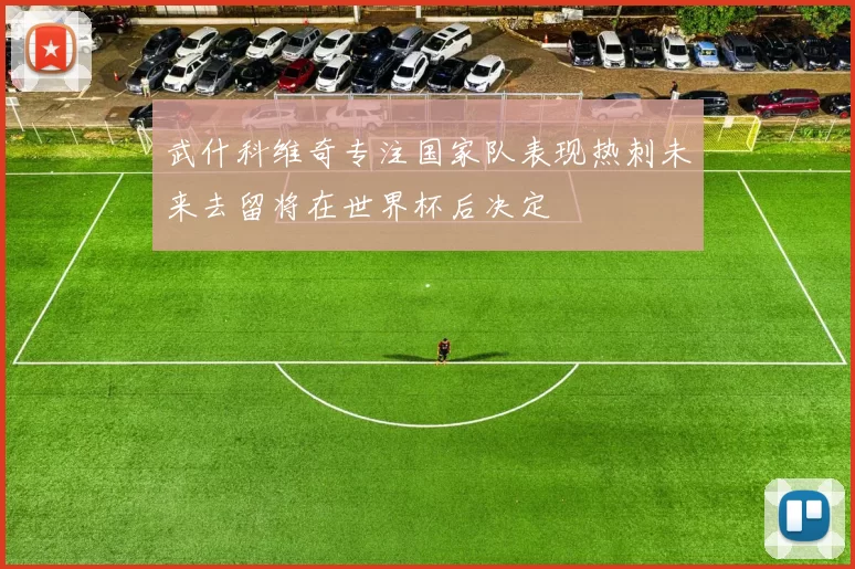 武什科维奇专注国家队表现热刺未来去留将在世界杯后决定